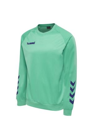 HUMMEL - Hmlpromo Poly Sweatshirt - Atlantis